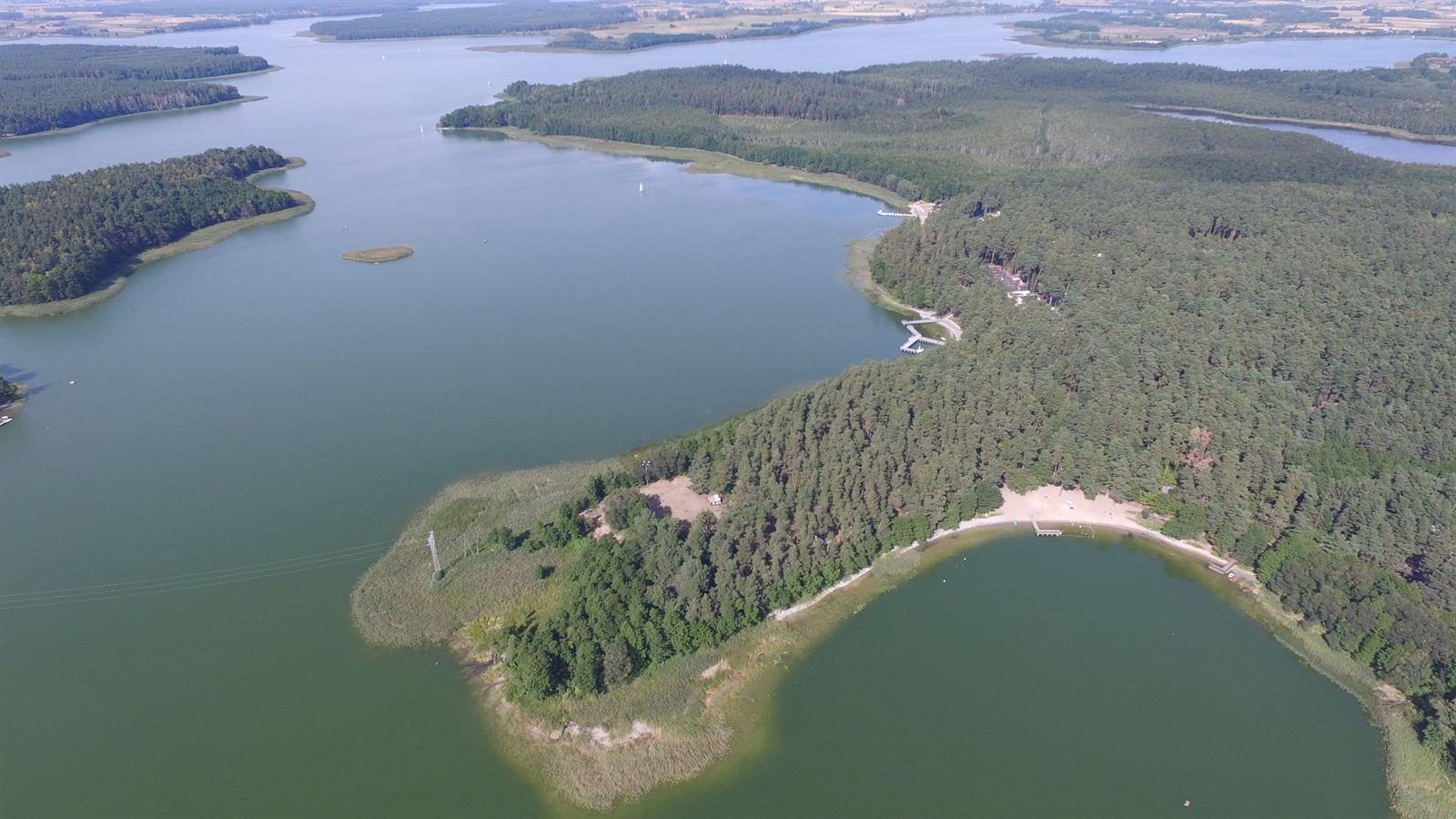 Jezioro Rajgrodzkie z lotu ptaka — zalesiony półwysep i piaszczysta plaża